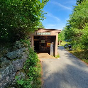 Squam Lakes NSC, 7/22 - Life Underground