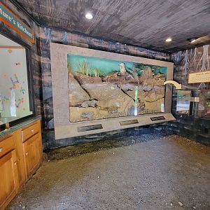 Squam Lakes NSC, 7/22 - Life Underground