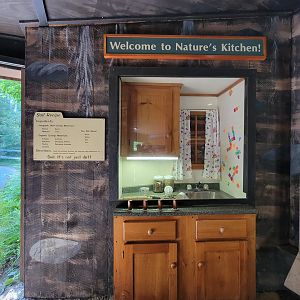 Squam Lakes NSC, 7/22 - Life Underground, what soil is made of