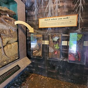 Squam Lakes NSC, 7/22 - Life Underground, tiny creatures under your feet