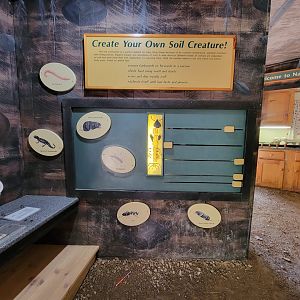 Squam Lakes NSC, 7/22 - Life Underground, create your own creature