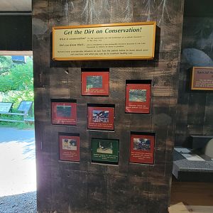 Squam Lakes NSC, 7/22 - Life Underground, dirt conservation