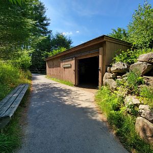 Squam Lakes NSC, 7/22 - Life Underground