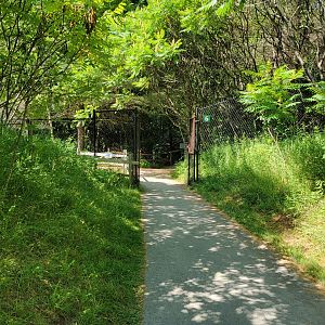 Squam Lakes NSC, 7/22 - Path, entrance to exhibit areas