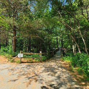 Squam Lakes NSC, 7/22 - Path, split to Water Matters building