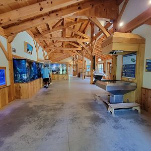 Squam Lakes NSC, 7/22 - Water Matters building