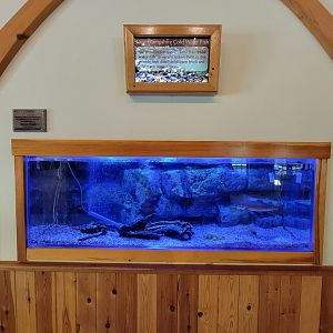 Squam Lakes NSC, 7/22 - Water Matters, New Hampshire Cold Water Fish