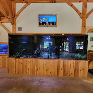 Squam Lakes NSC, 7/22 - Water Matters, New Hampshire Warm Water Fish