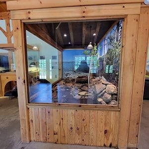 Squam Lakes NSC, 7/22 - Water Matters, Mink, from the side