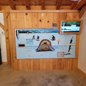 Squam Lakes NSC, 7/22 - Water Matters, Cold as ice