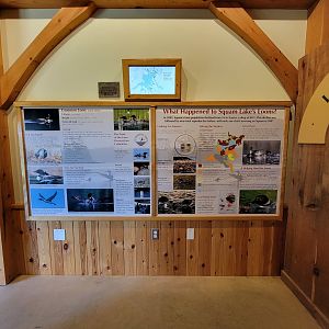 Squam Lakes NSC, 7/22 - Water Matters, Loons