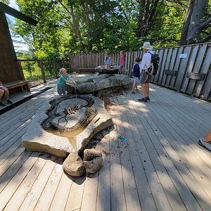 Squam Lakes NSC, 7/22 - Water Matters, Water table