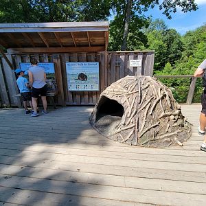 Squam Lakes NSC, 7/22 - Water Matters, Beaver info