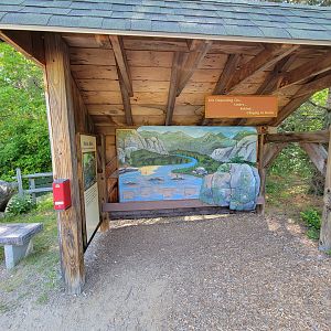 Squam Lakes NSC, 7/22 - New Hampshire Geology