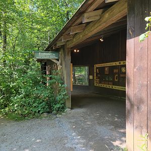Squam Lakes NSC, 7/22 - Ecotone