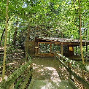 Squam Lakes NSC, 7/22 - Bobcats