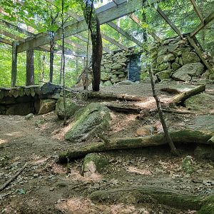Squam Lakes NSC, 7/22 - Bobcats from right window