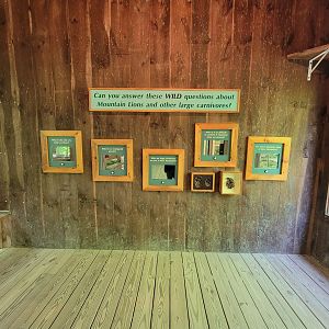 Squam Lakes NSC, 7/22 - Mountain lion interactive questions