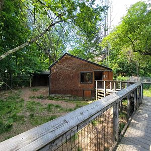 Squam Lakes NSC, 7/22 - Whitetail deer info building