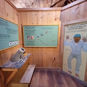 Squam Lakes NSC, 7/22 - Ticks