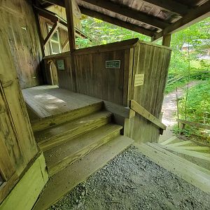 Squam Lakes NSC, 7/22 - North American river otter, slide/steps to underwater viewing