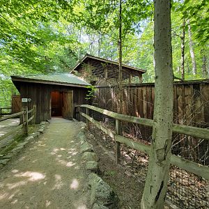 Squam Lakes NSC, 7/22 - Black bear building