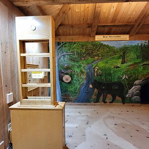 Squam Lakes NSC, 7/22 - Black bear building, interactive wall