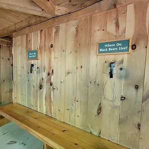 Squam Lakes NSC, 7/22 - Black bear building, lift phones for answers