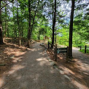 Squam Lakes NSC, 7/22 - Path
