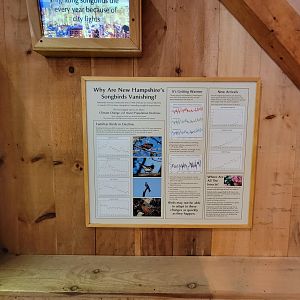 Squam Lakes NSC, 7/22 - Celebrate Birds! Why are songbirds vanishing?