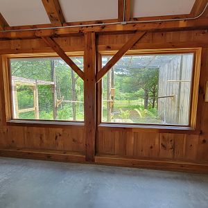 Squam Lakes NSC, 7/22 - Celebrate Birds! Broad-winged Hawk