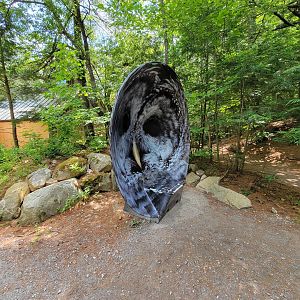 Squam Lakes NSC, 7/22 - Owl hearing bowl