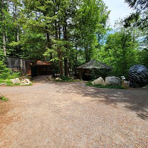 Squam Lakes NSC, 7/22 - More raptor exhibits