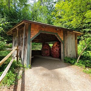 Squam Lakes NSC, 7/22 - Interactive eggs