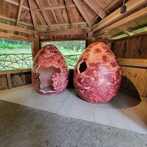 Squam Lakes NSC, 7/22 - Interactive eggs