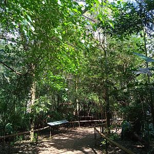 Walk-through aviary of Mata Altantica