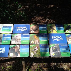 Walk-through aviary of Mata Altantica