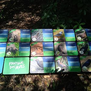 Walk-through aviary of Mata Altantica