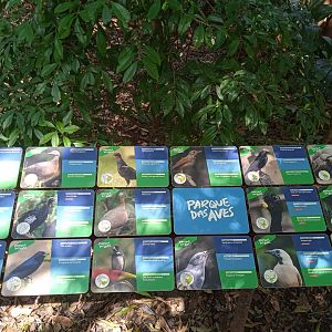 Walk-through aviary of Mata Altantica