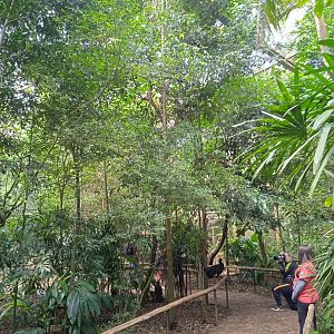 Walk-through aviary of Mata Altantica