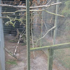 Fun-Park - Parrot/dove aviary