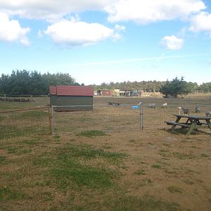 Fun-Park - Goat exhibit