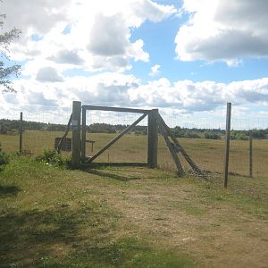 Fun-Park - Fallow deer exhibit