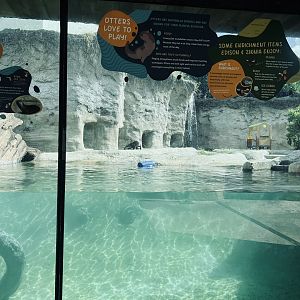 River Otter Exhibit