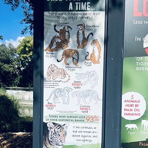 Tiger Subspecies Status Sign