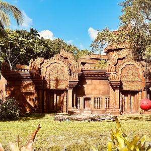 Sumatran Tiger Exhibit