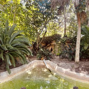 Cuban Crocodile Exhibit
