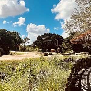 Asian Elephant Exhibit
