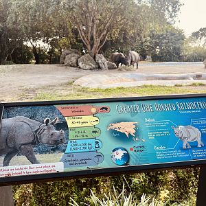 Greater One-horned Rhinoceros Exhibit
