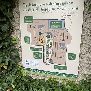 Elephants of the Asian Forest - Signage for design of indoors 221022